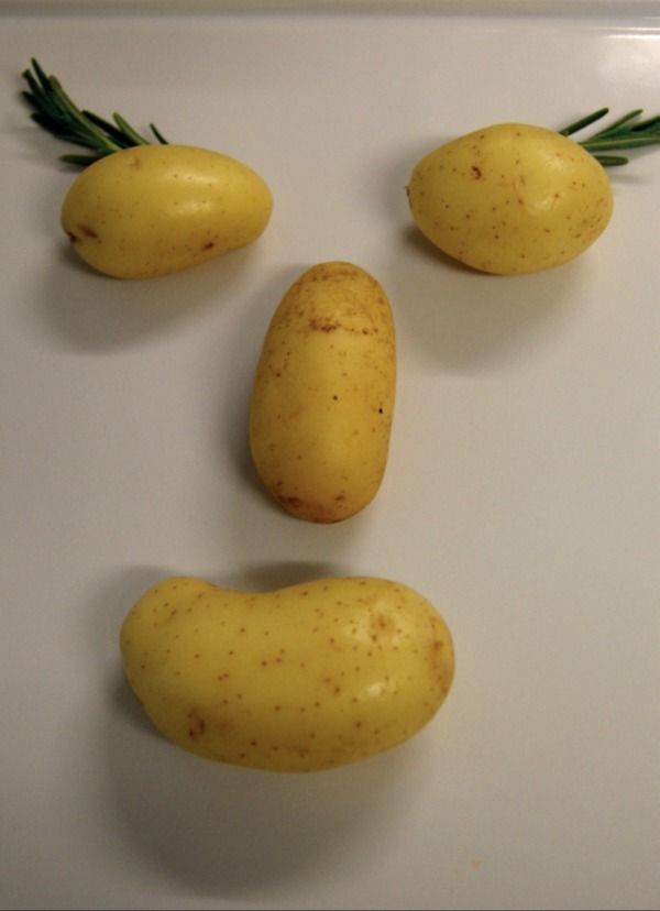 Vier Kartoffeln mit Rosmarin, zu einem Gesicht gelegt