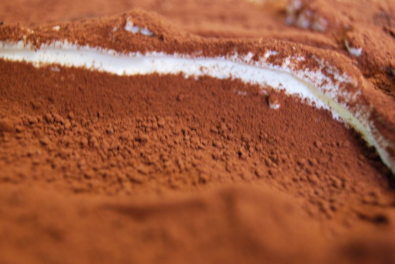 Tiramisu mit Kakaopulver bestäubt